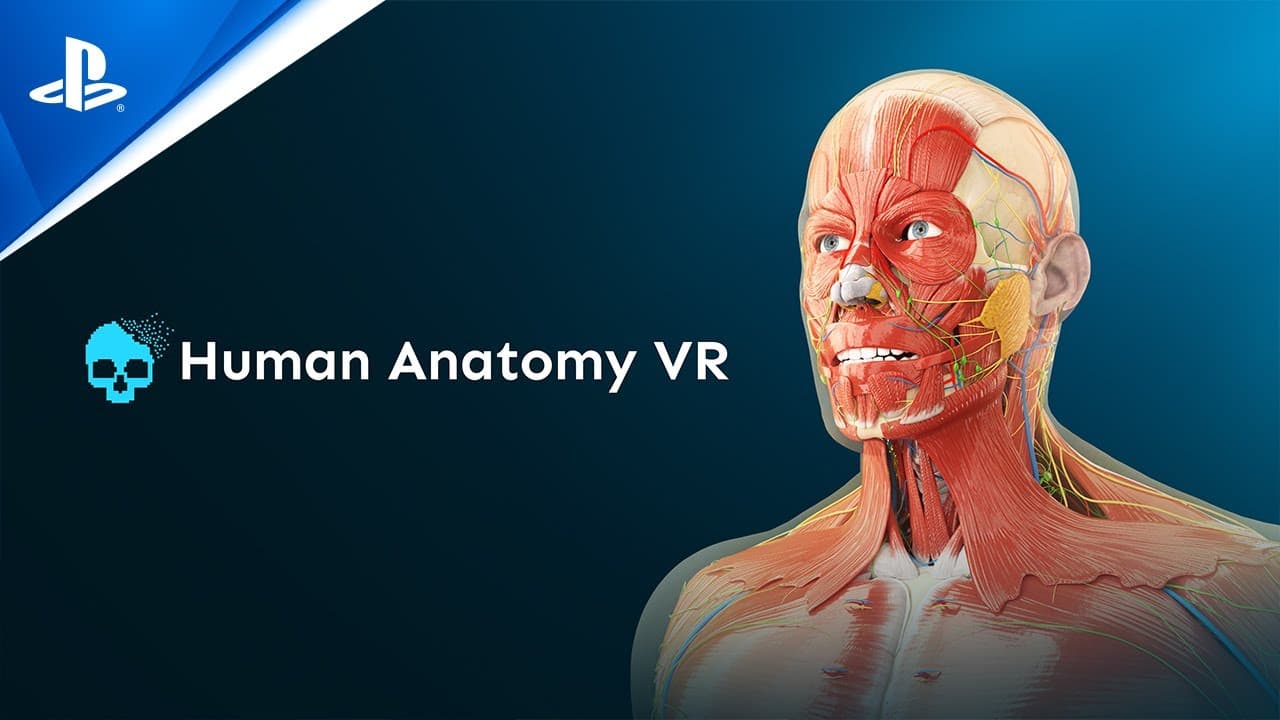 Human Anatomy VR