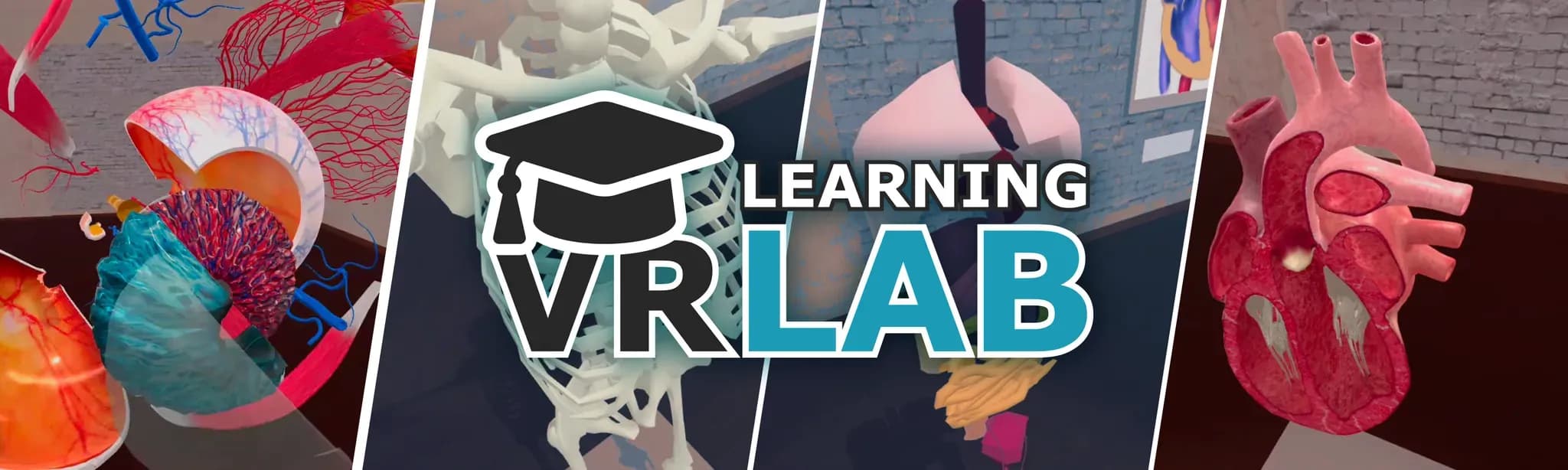 VR Anatomi Lab